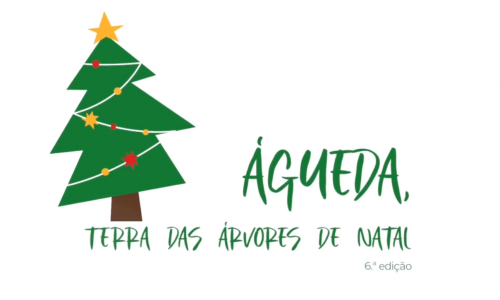 Projeto Agueda-Terra das árvores de Natal